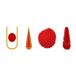 indian-red-sandalwood-lal-chandan-pieces.webp