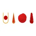indian-red-sandalwood-lal-chandan-pieces.webp