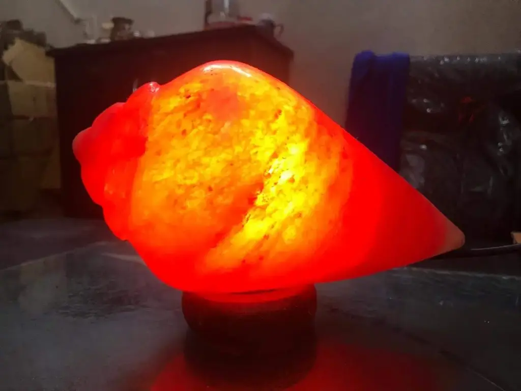 Attractive Craft Store Conch/shankh Shape Himalayan Rock Salt Lamp
